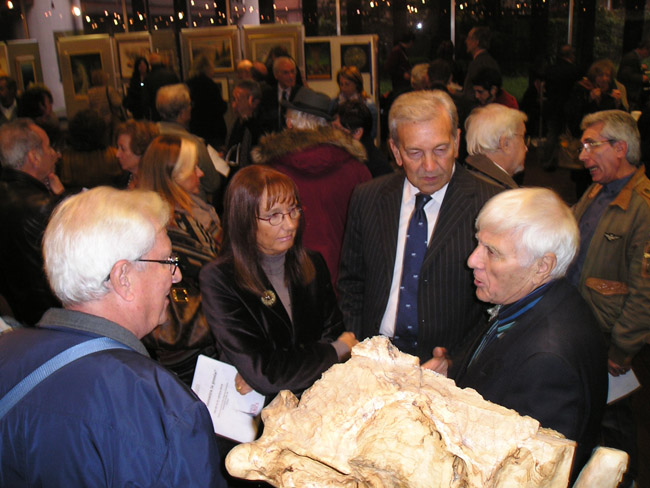Clicca per ingrandire