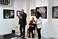 Clicca per ingrandire
