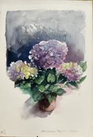 Clicca per ingrandire