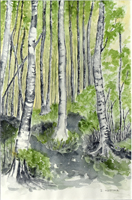 Clicca per ingrandire