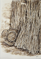 Clicca per ingrandire