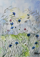 Clicca per ingrandire