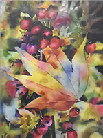 Clicca per ingrandire