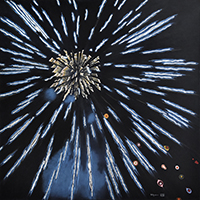 Clicca per ingrandire