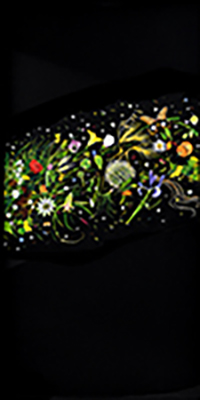 Clicca per ingrandire