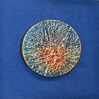 Clicca per ingrandire