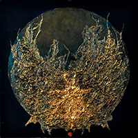 Clicca per ingrandire