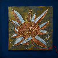 Clicca per ingrandire