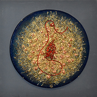 Clicca per ingrandire