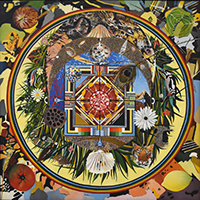 Clicca per ingrandire