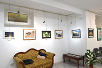 Clicca per ingrandire