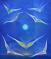 Clicca per ingrandire