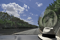 Clicca per ingrandire