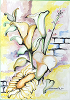 Clicca per ingrandire