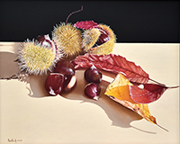 Clicca per ingrandire