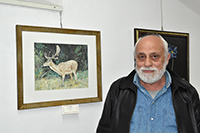 Clicca per ingrandire