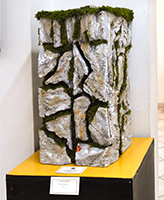 Clicca per ingrandire