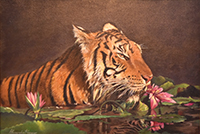 Clicca per ingrandire