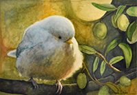 Clicca per ingrandire